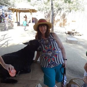 Meet your Posher, Dori